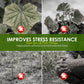 Rapid Green-Up Foliar Fertilizer