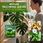 Rapid Green-Up Foliar Fertilizer