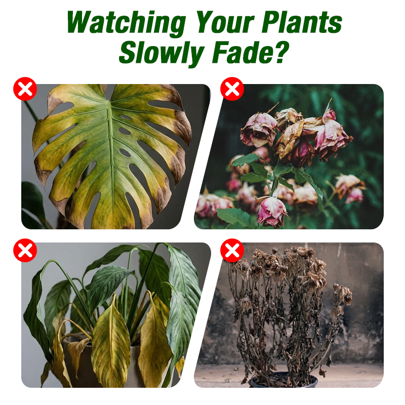 50ml Plant Growth Liquid for Seedlings & Cuttings