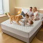 🌤️🛏️Waterproof Quilted Mattress Cover & Pillowcases Set