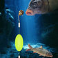 🔥Buy 4 free 6🔥 Universal Fishing Rig W/Float! 🎣