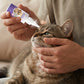 🔥Limited Time Promotion 50% OFF🔥Gentle Pet Eye Drops for Dogs & Cats
