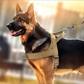 🥳2026 HOT SALE🥳🐕💪 50% OFF! Heavy‑Duty Tactical Dog Harness – No‑pull, no‑choke. 🛡️✨