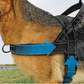 🥳2026 HOT SALE🥳🐕💪 50% OFF! Heavy‑Duty Tactical Dog Harness – No‑pull, no‑choke. 🛡️✨